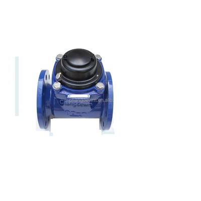 LXL-80E-400E Wet Dial Woltmann Horizontal Cast Iron Irrigation Meter OEM Customizable Cold Water Meter