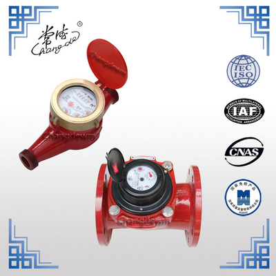 Customizable Large Caliber Horizontal Hot Water Flow Meters Wet Type with Woltman Horizontal Flange Connection OEM Product